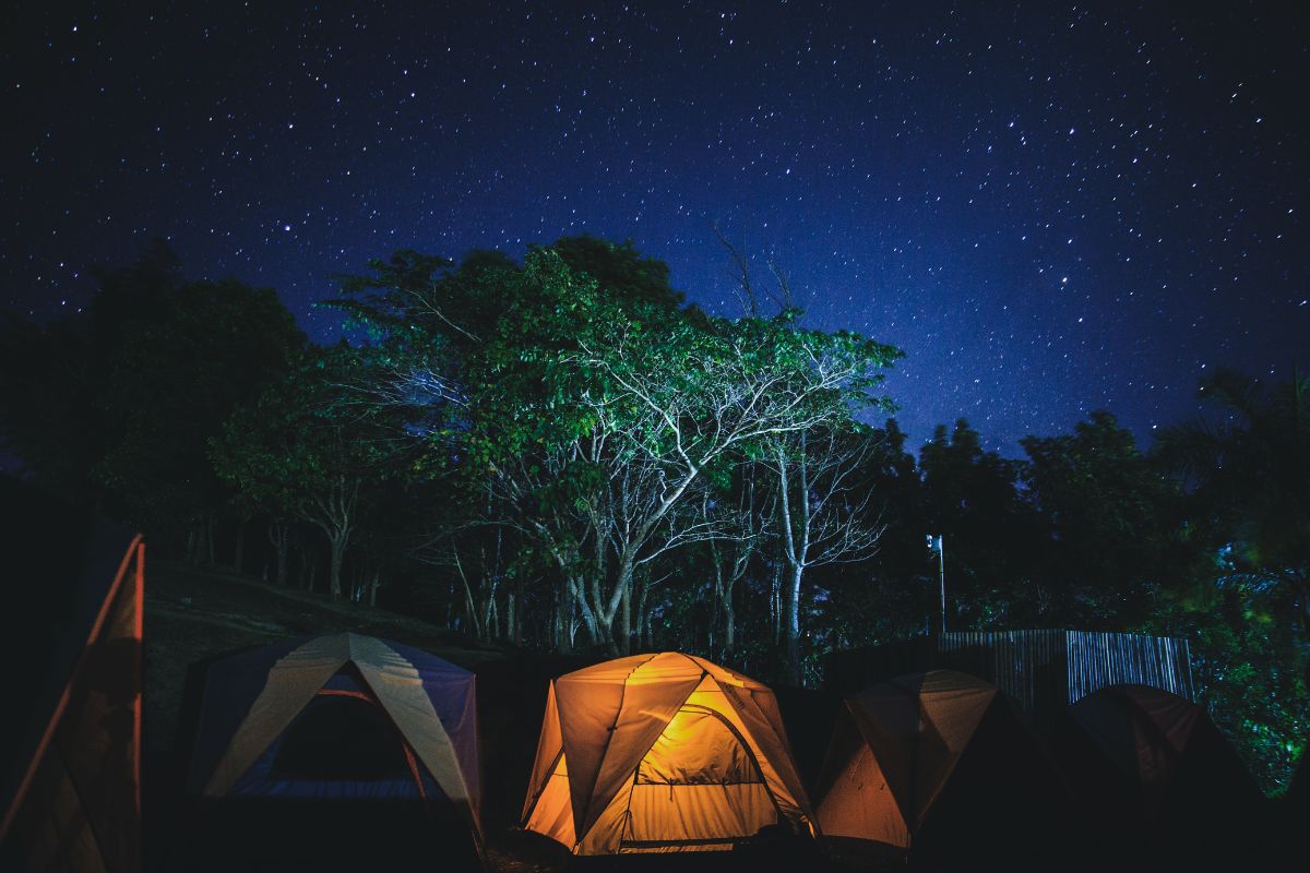 Noctourism